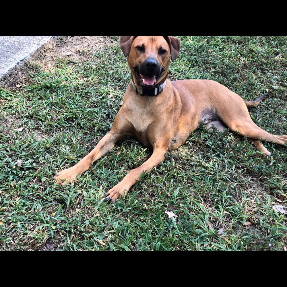 Meet your Posher, Taylor